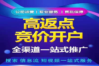 案例解析：揭秘高效竞价推广技巧